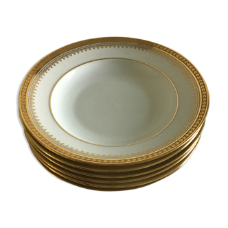 6 porcelain plates of Limoges