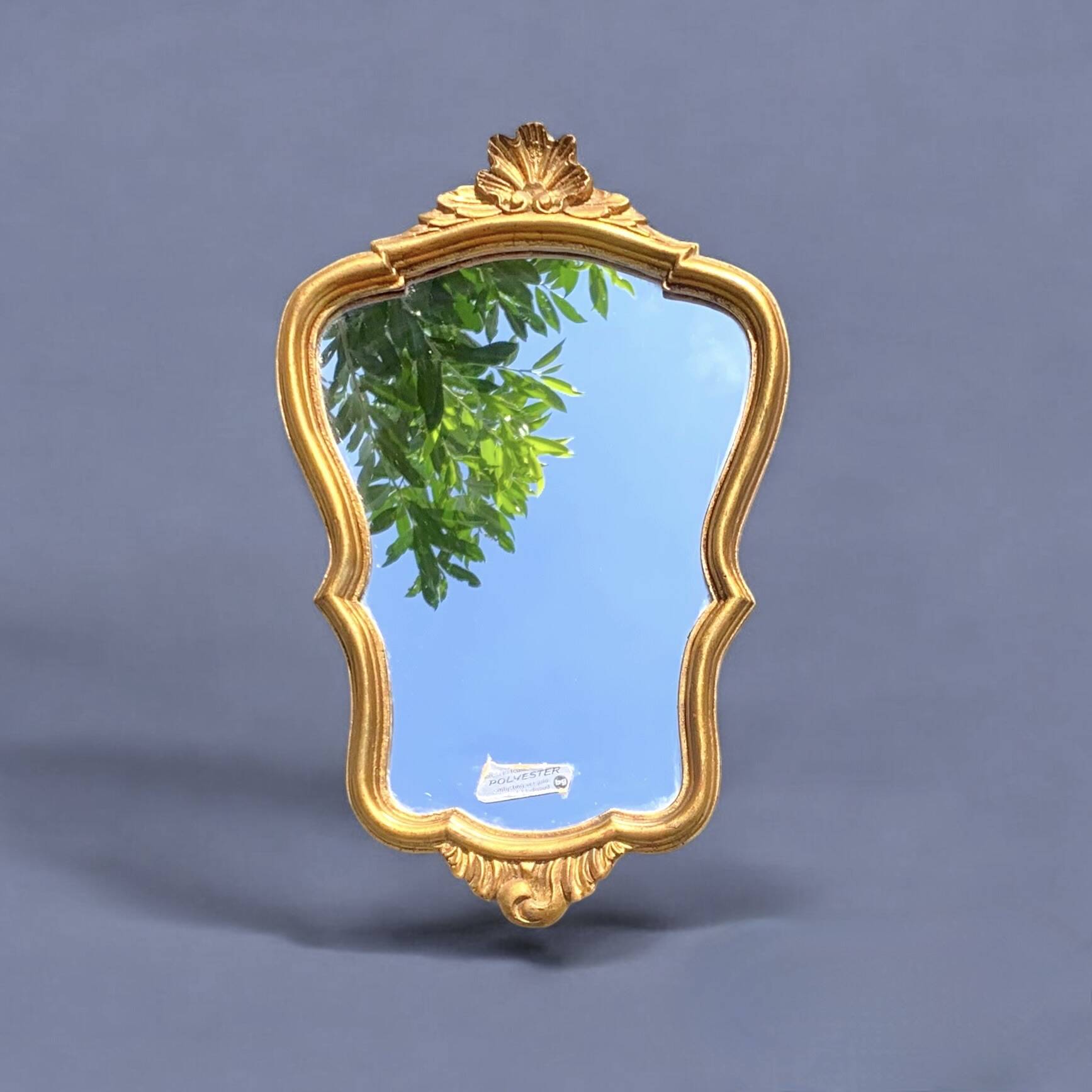 Vintage Gold Leaf Resin Wall Mirror