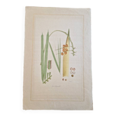 Dessin à l'aquarelle sur soie - Palmier - La Roche Laffitte (Né en 1943)