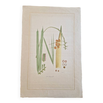 La Roche Laffitte (Born in 1943) - Watercolour drawing on silk - Palm tree