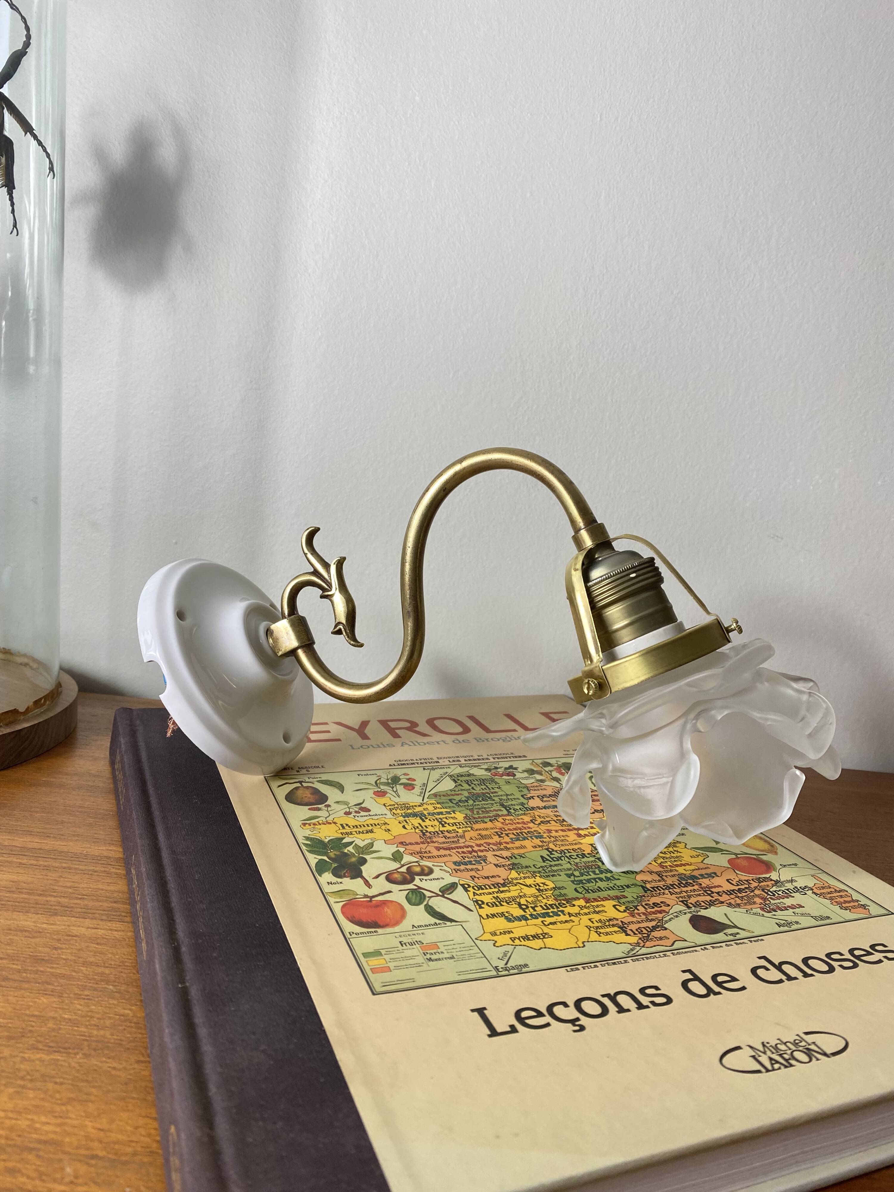 Swan neck wall light in brass with rose petal glass shade.