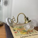 Swan neck wall light in brass with rose petal glass shade.