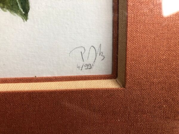 Ancienne lithographie botanique patricia kounakowitch