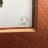 Old botanical lithograph patricia kounakowitch