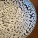 6 deep plates