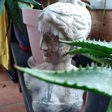 Antique bust.
