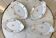 Lot de 4 raviers anciens années 50