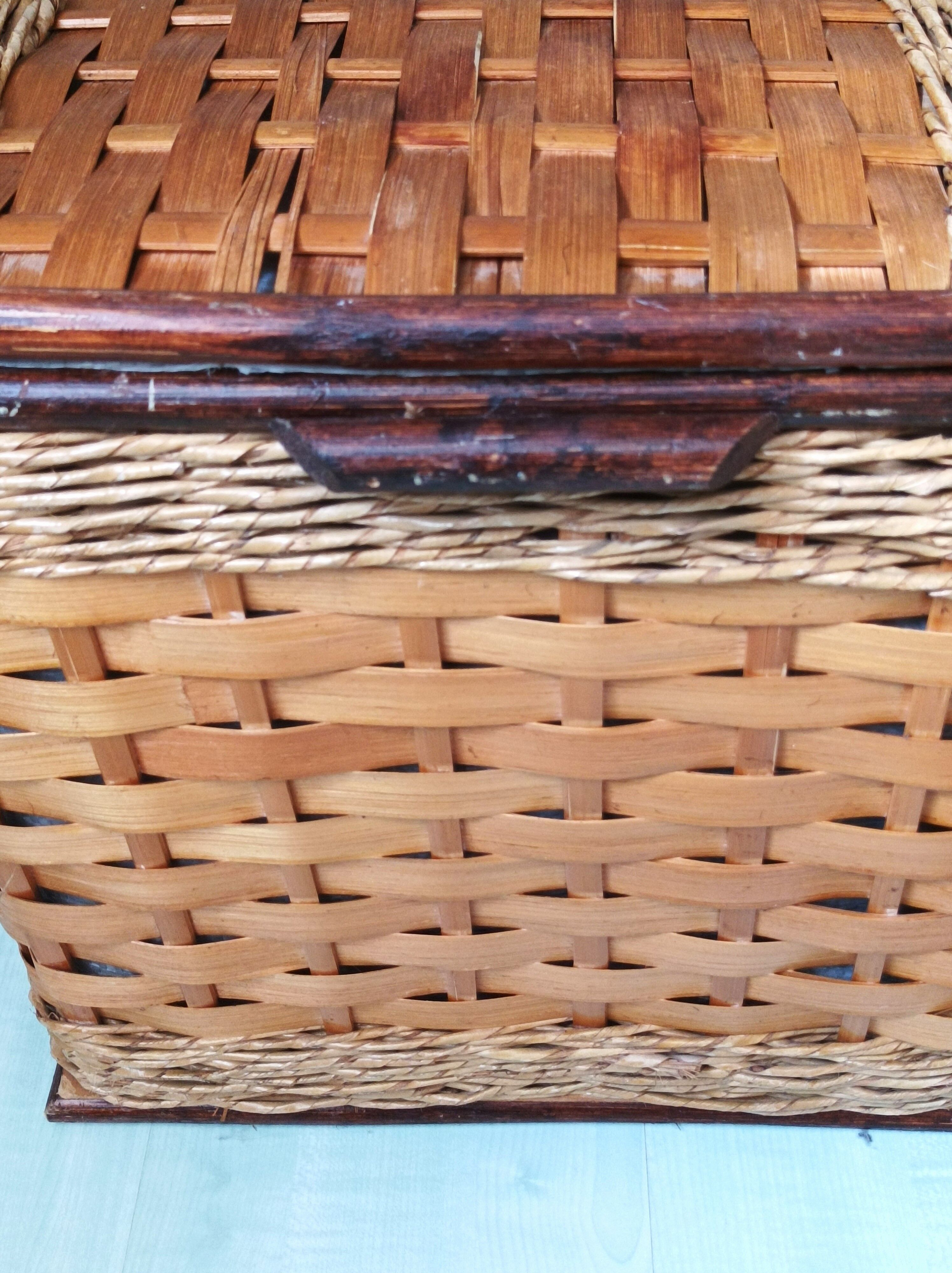 Rattan and wicker trunk