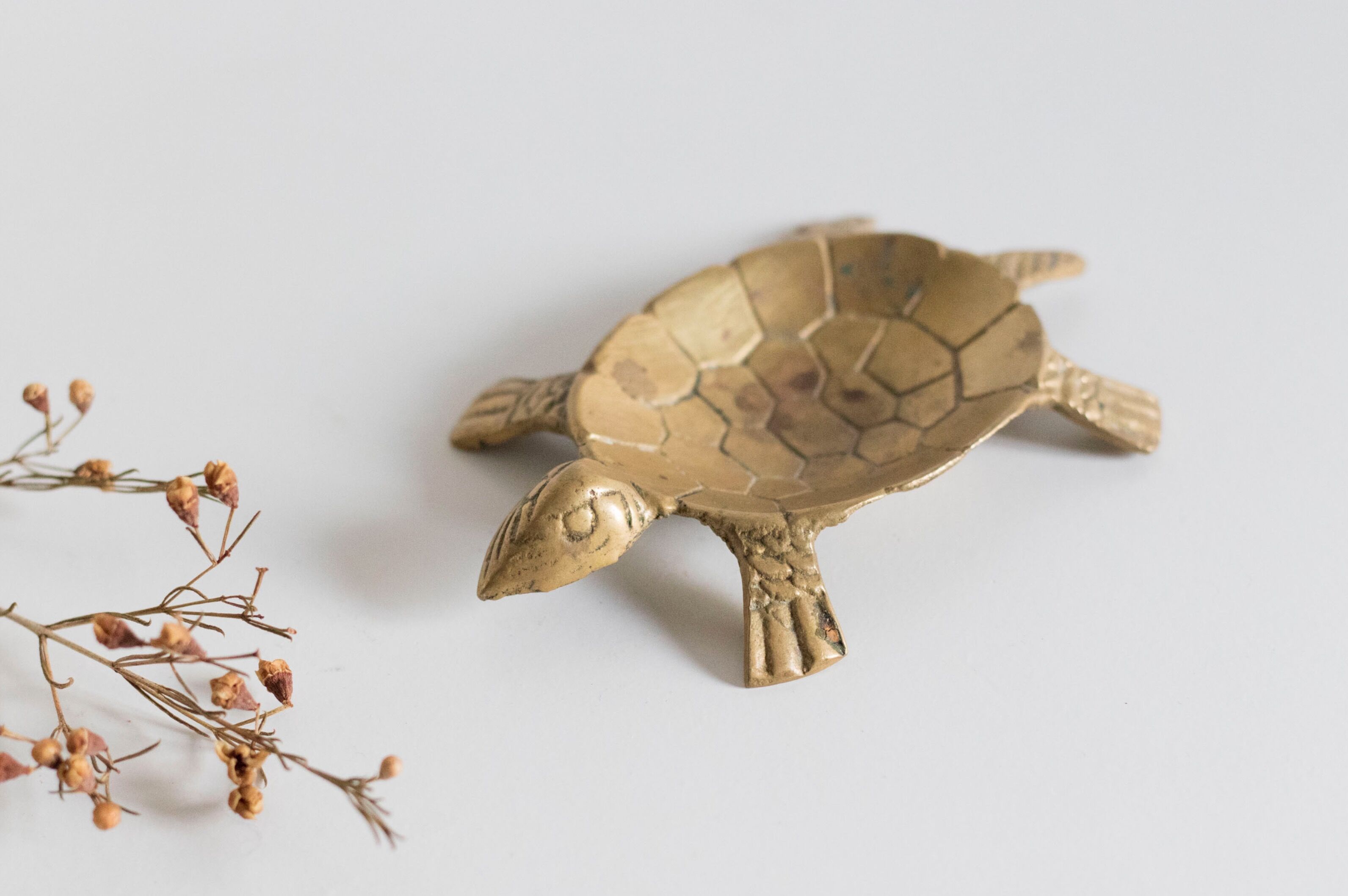 Ashtray / empty turtle brass pockets