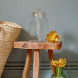 Old herbalmedicine old pharmacy