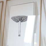 Mushroom board, limited edition