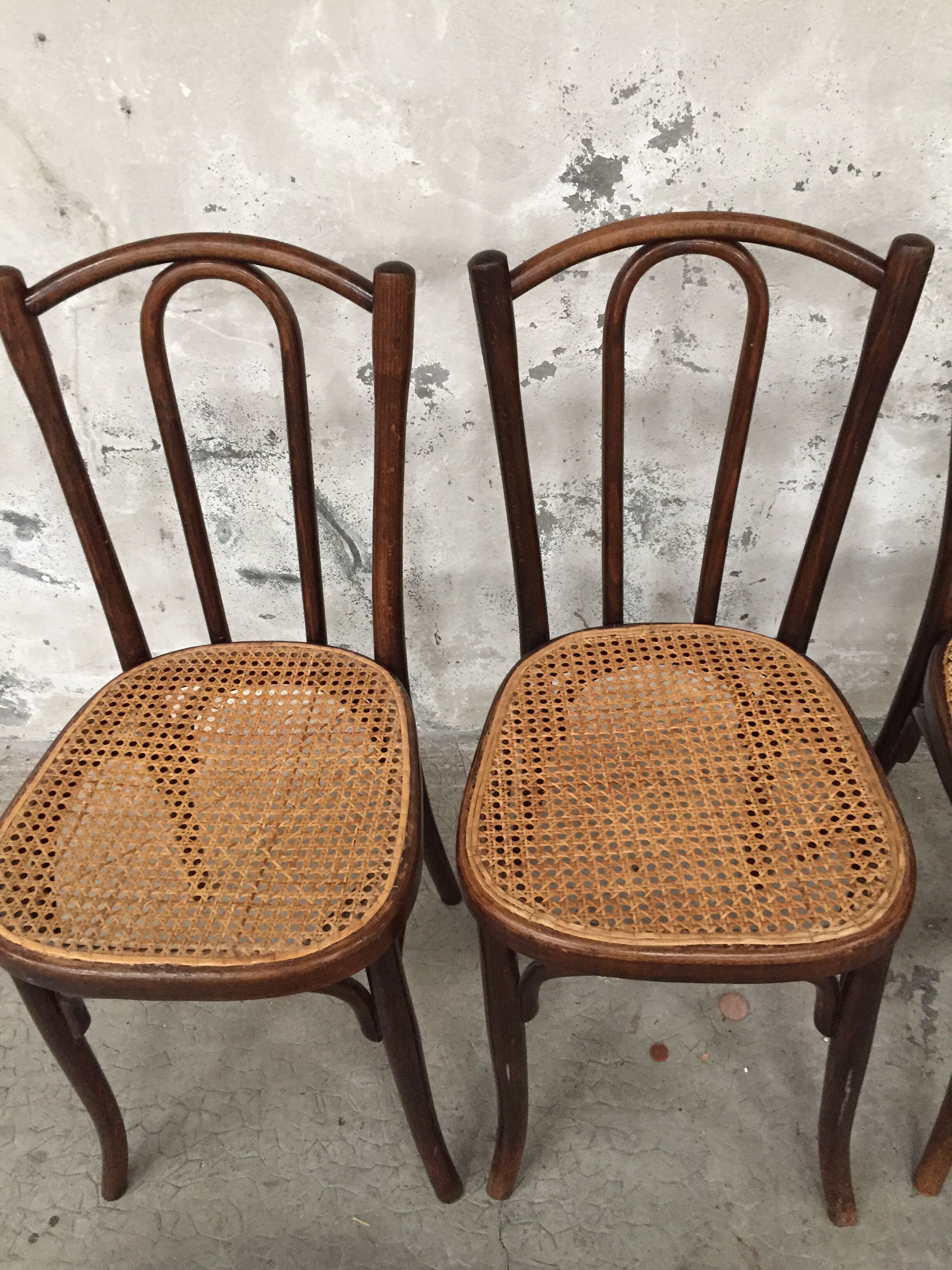 Series 4 chairs Bistro wood curved Fischel