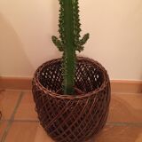 Cache pot