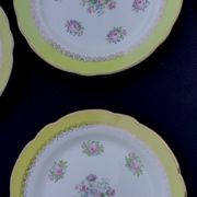 10 assiettes plates modèle graziella sarreguemines & digoin