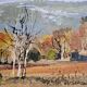 Table m. jouenne - "the white trees"