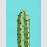 4 botanical art prints
