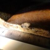 Vase Vallauris herbarium signed Leduc