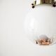 Murano suspension globe