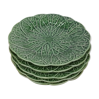 5 plates of cabbage