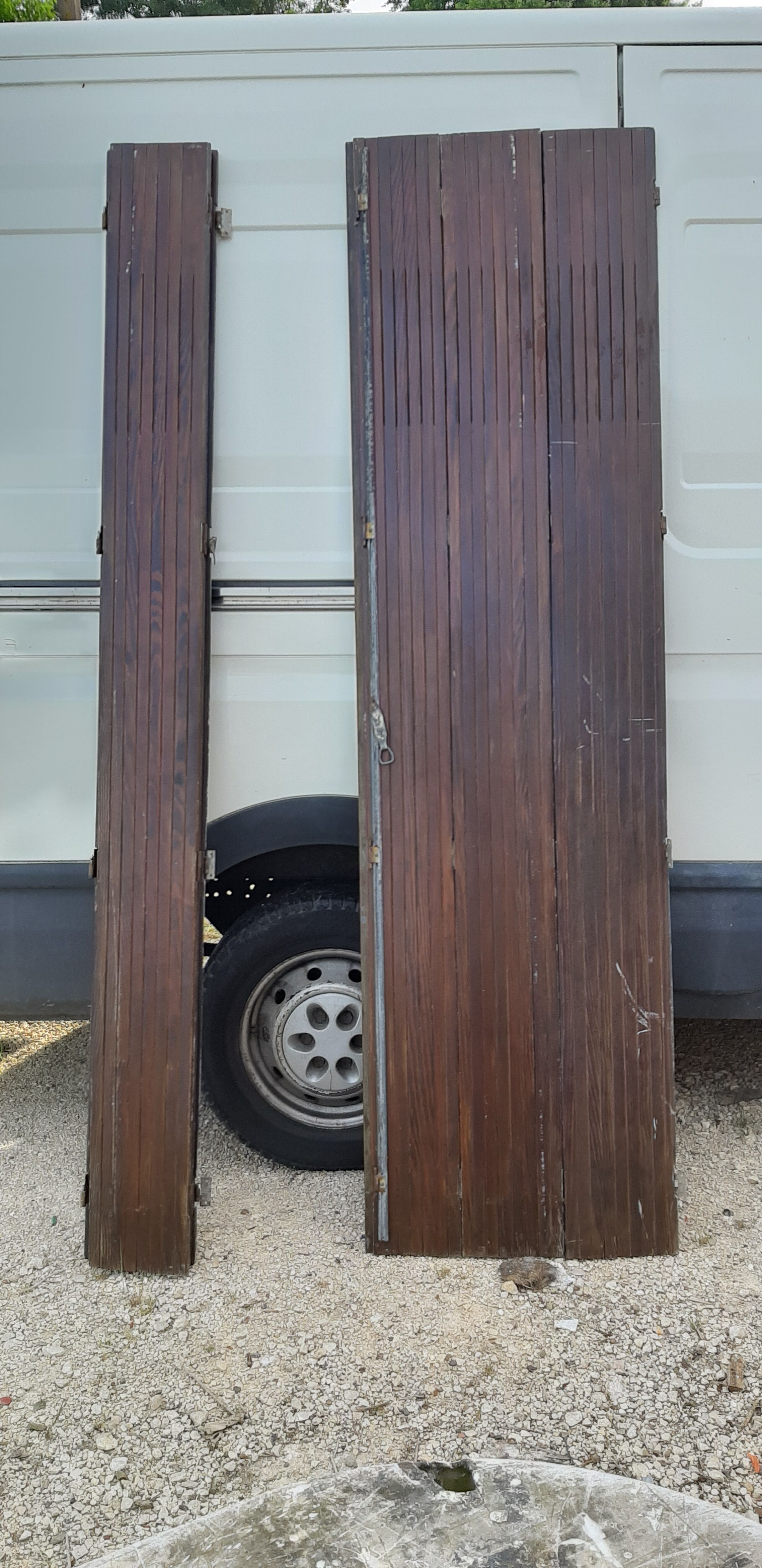 Ancient persians in pine