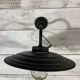 Swan neck wall lamp