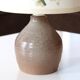 Ceramic lamp with herbarium-style shade from the 60s