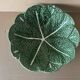 Plat ancien barbotine choux