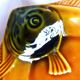 4 vintage Sarreguemines fish barbotine plates, vintage plates.