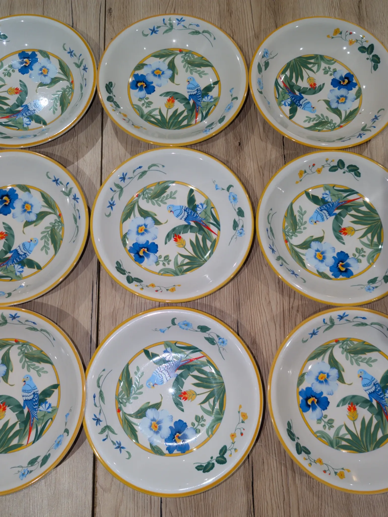 Lot 9 Deep Plates Porcelain Japan ARA S 933 Parrot & F Decor