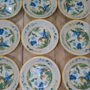 Lot 9 Deep Plates Porcelain Japan ARA S 933 Parrot & F Decor