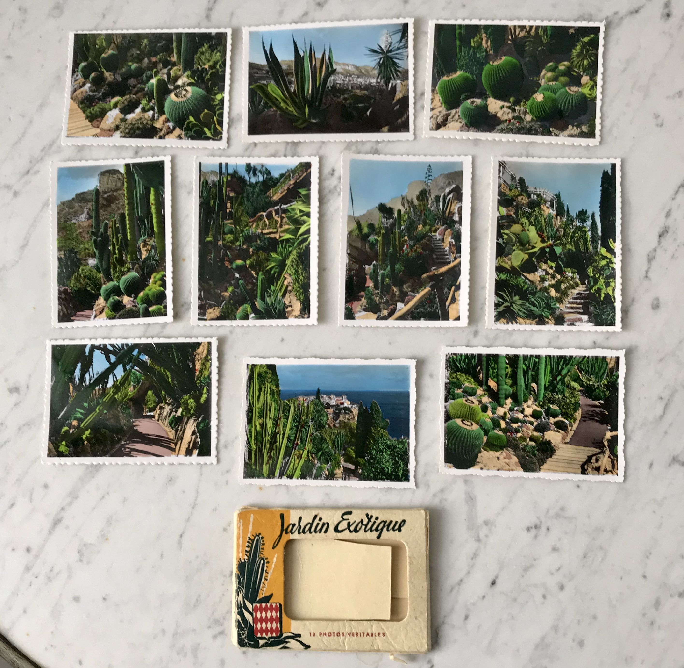 Set of 10 vintage photographs "Exotic Garden" Monaco 70s