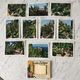 Set of 10 vintage photographs "Exotic Garden" Monaco 70s