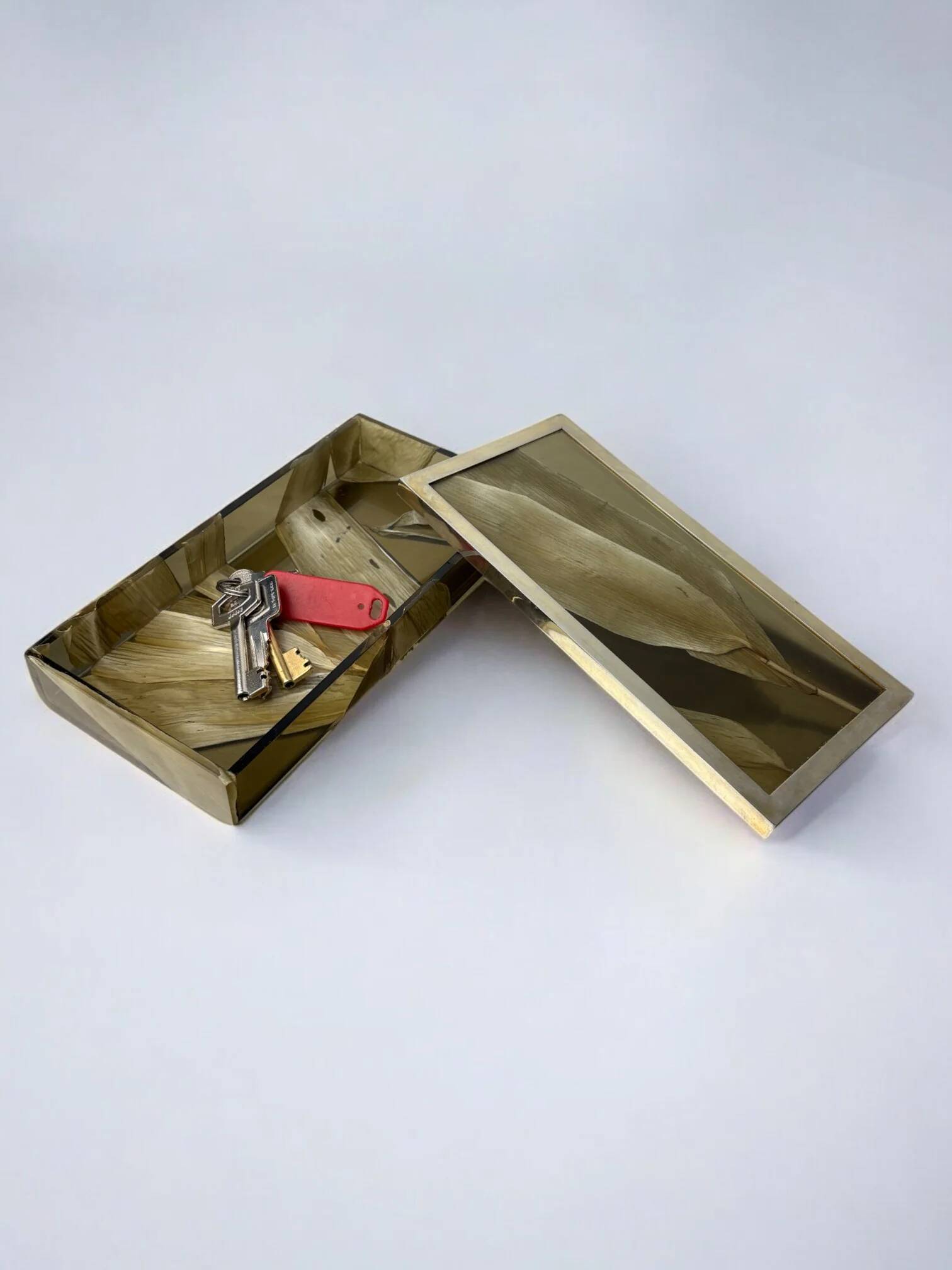 Aldo Tura style vanity box in lucite with dry tobacco leaves, 1970s