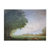 Paysage aux moutons