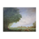 Landscape with sheep