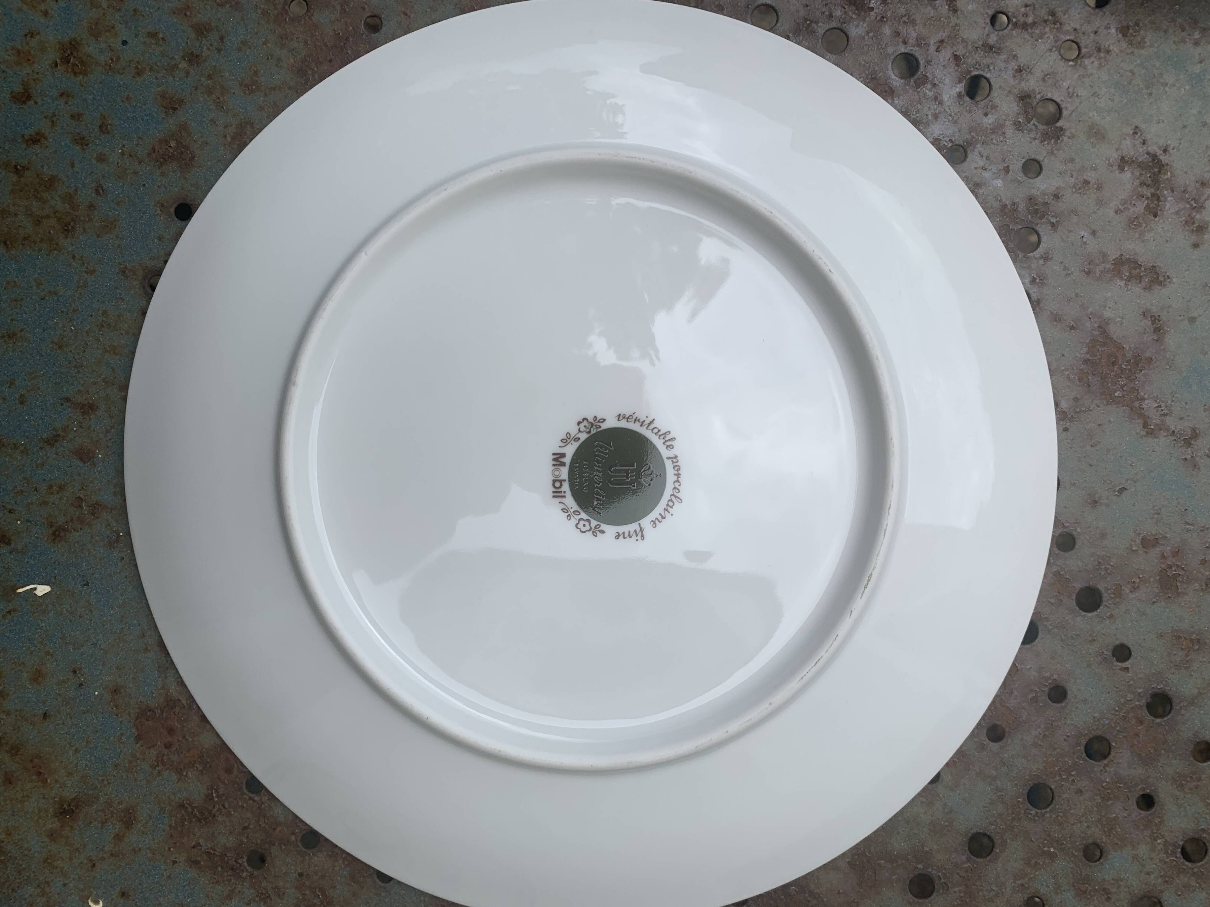 6 winterling bavaria porcelain herbarium pattern flat plates