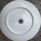 6 winterling bavaria porcelain herbarium pattern flat plates