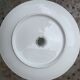 6 assiettes plates motif herbier en porcelaine winterling bavaria