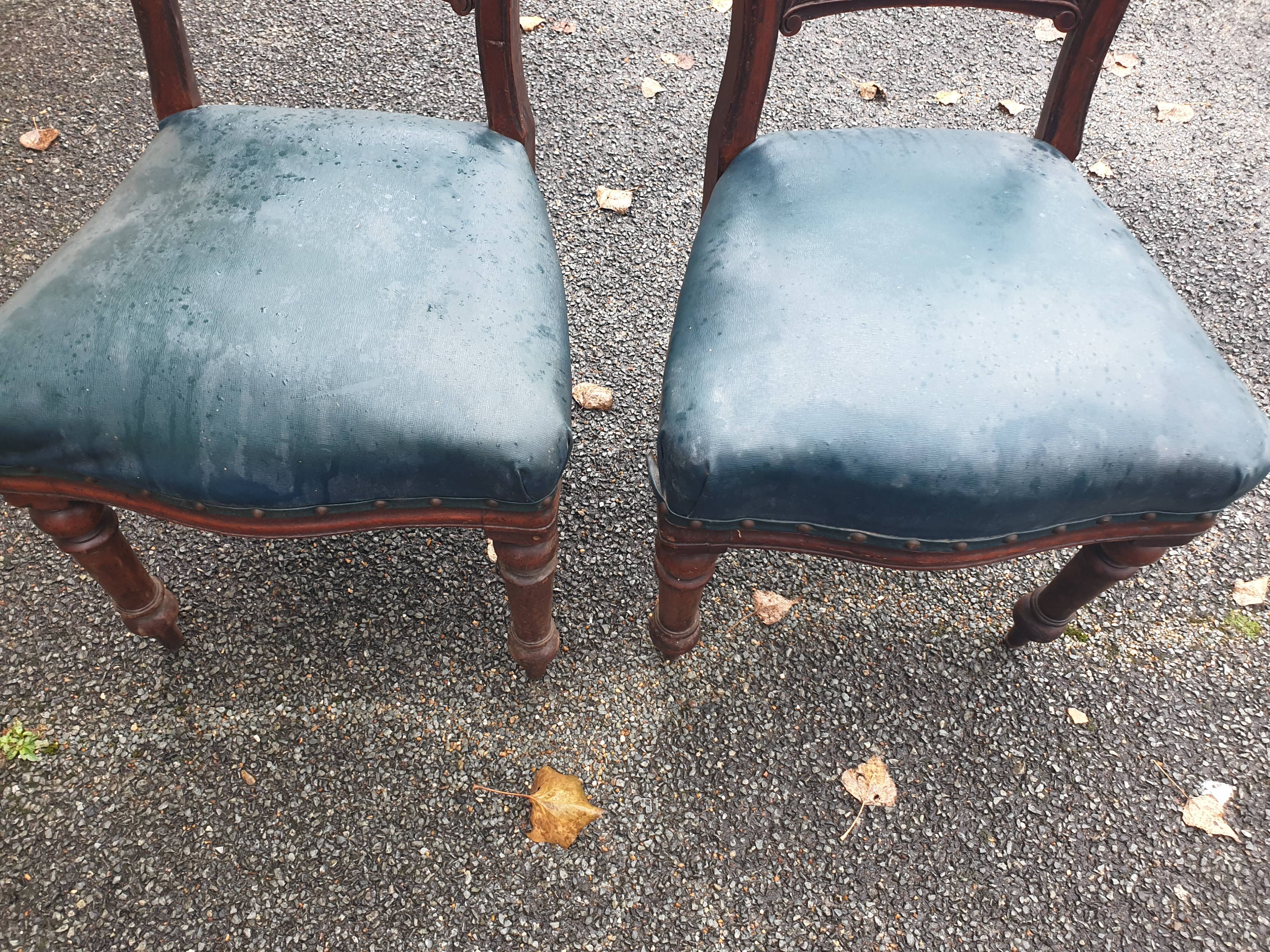 Pair of 19th century Restoration period armchairs