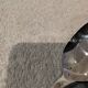6 silver-plated metal dessert spoons by Christofle Marly, 19.6 cm.