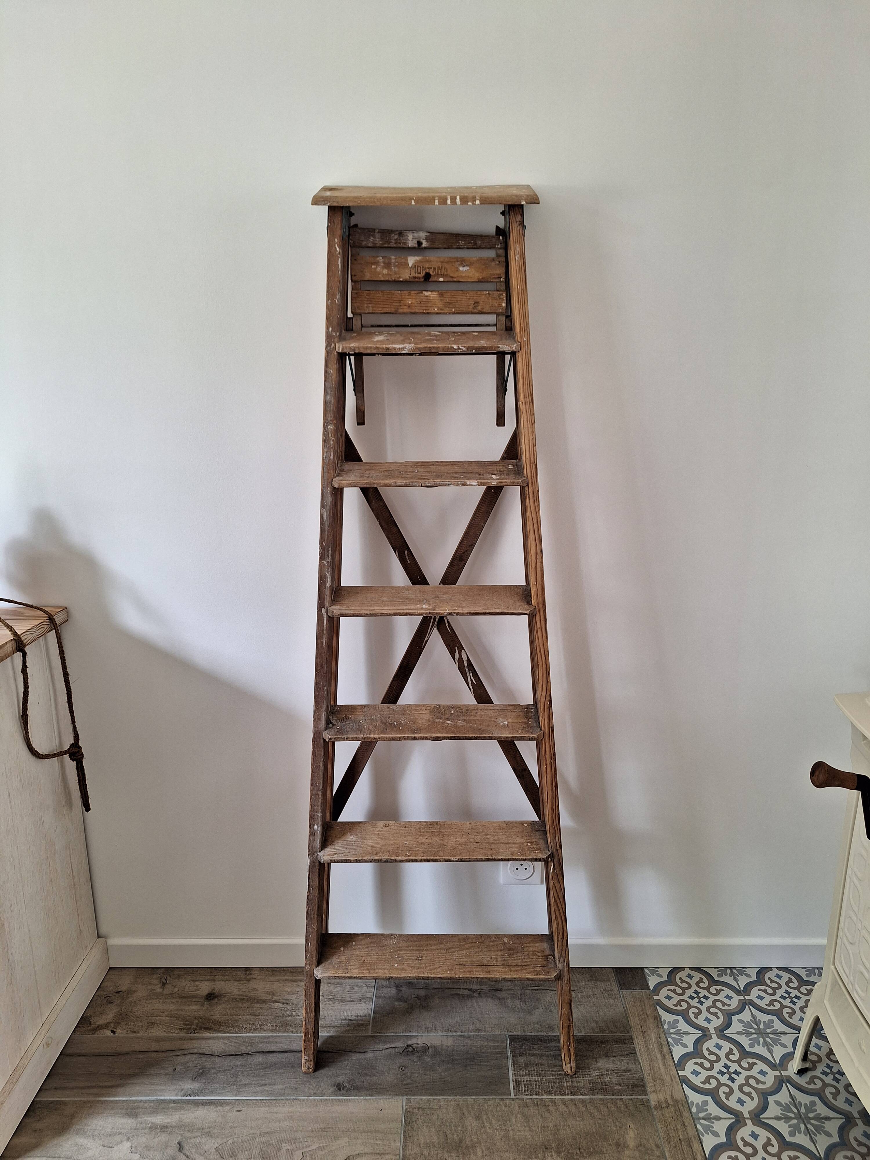 Montana painter's stepladder