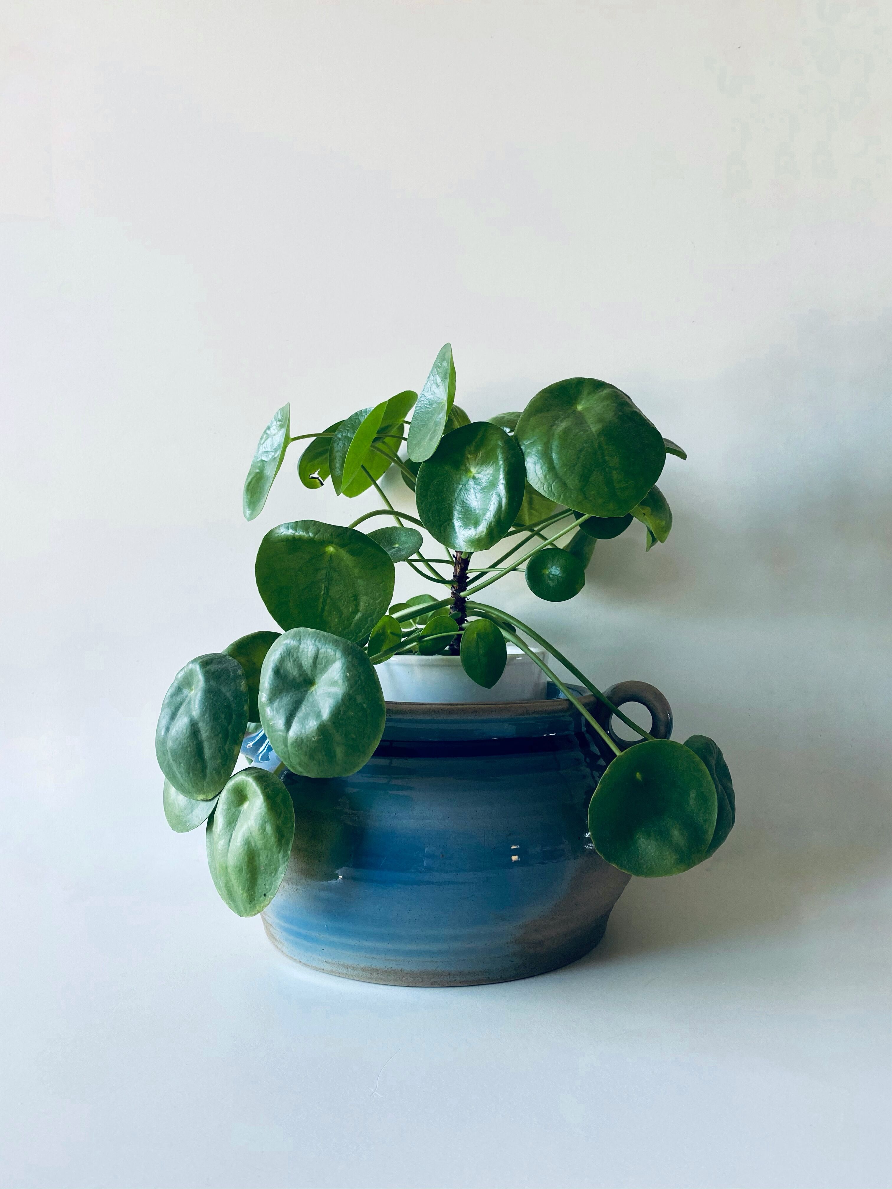 Sandstone pot or garnish