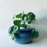 Sandstone pot or garnish