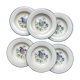 6 soup plates in speckled Italian earthenware "Tiffany" - vintage bird motif
