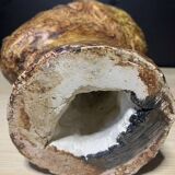 Brutalist head in varnished plaster