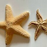 Vintage starfish