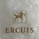 Housewife Ercuis in silver metal