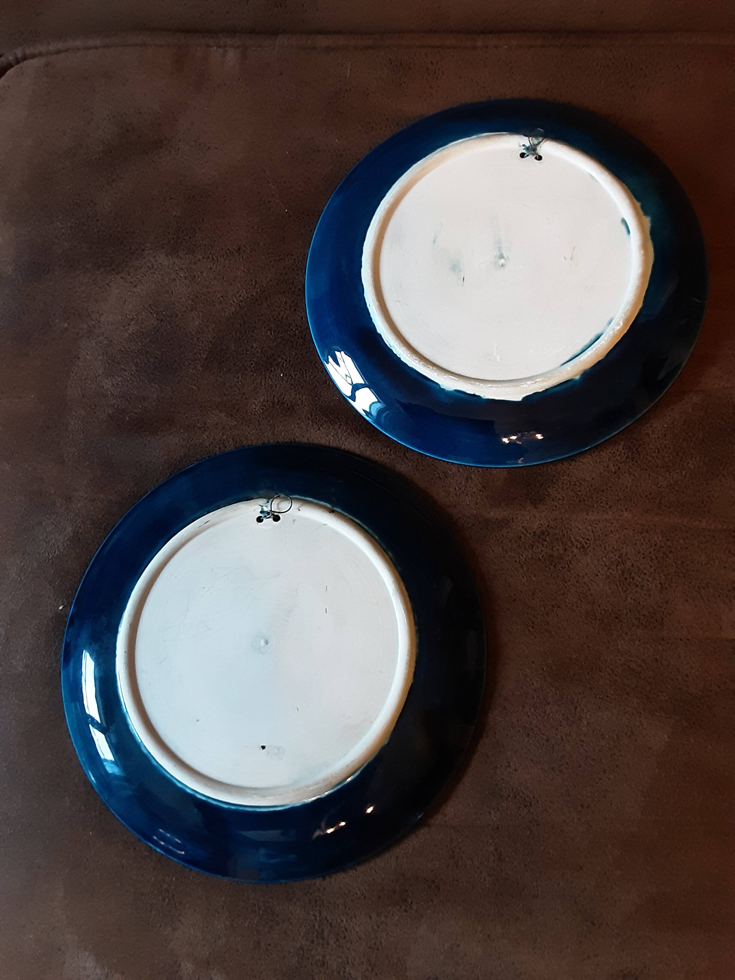 Set of 2 decorative majolica-style plates