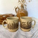 Vintage English cups