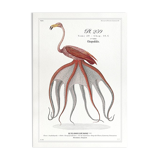 Chimera lithography animal engraving - the pink blazing